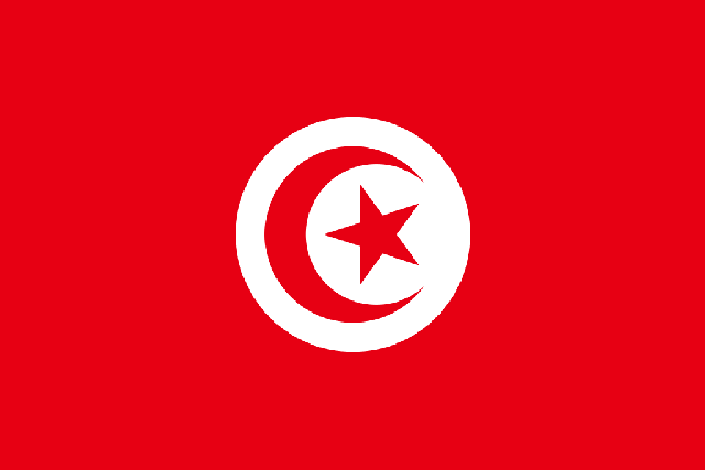 Tunesicher flage